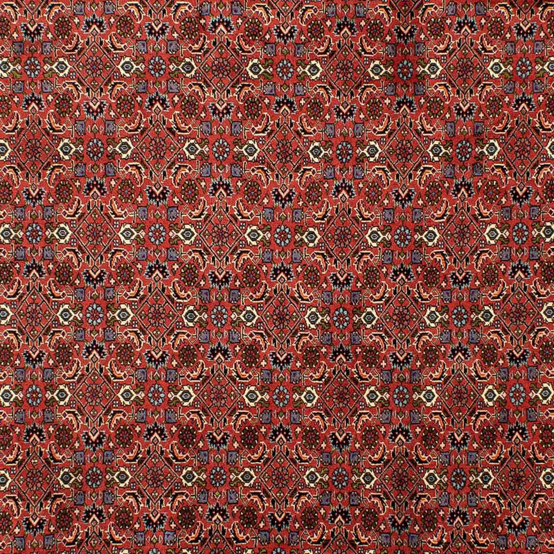 Tapis persan - Bidjar - 290 x 200 cm - rouge foncé