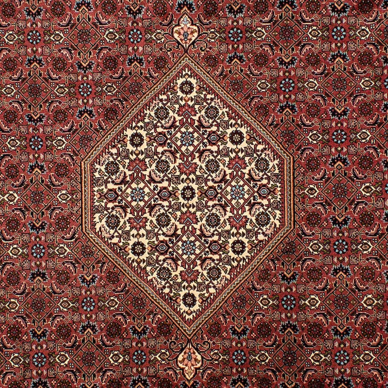 Tapis persan - Bidjar - 302 x 200 cm - marron