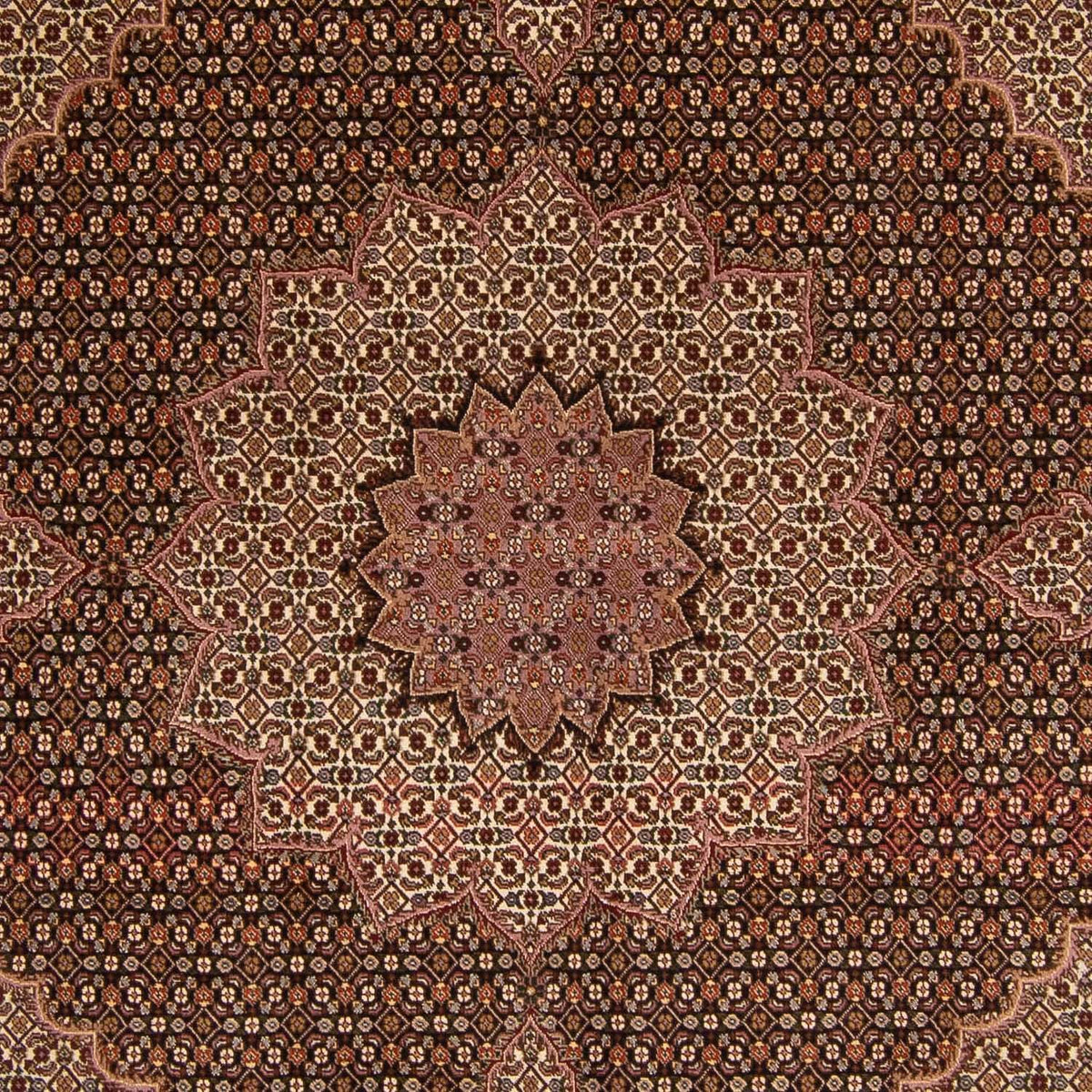 Tapis persan - Tabriz - Royal - 256 x 248 cm - marron