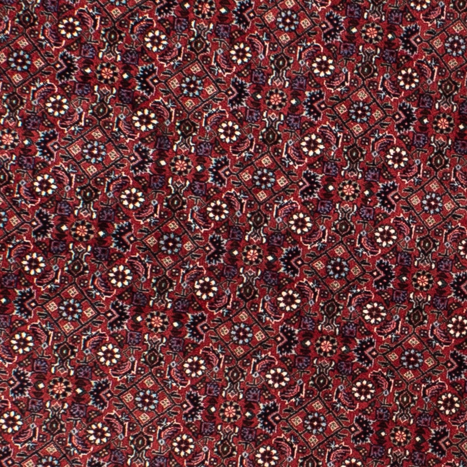 Tapis persan - Bidjar ronde  - 160 x 160 cm - rouge foncé