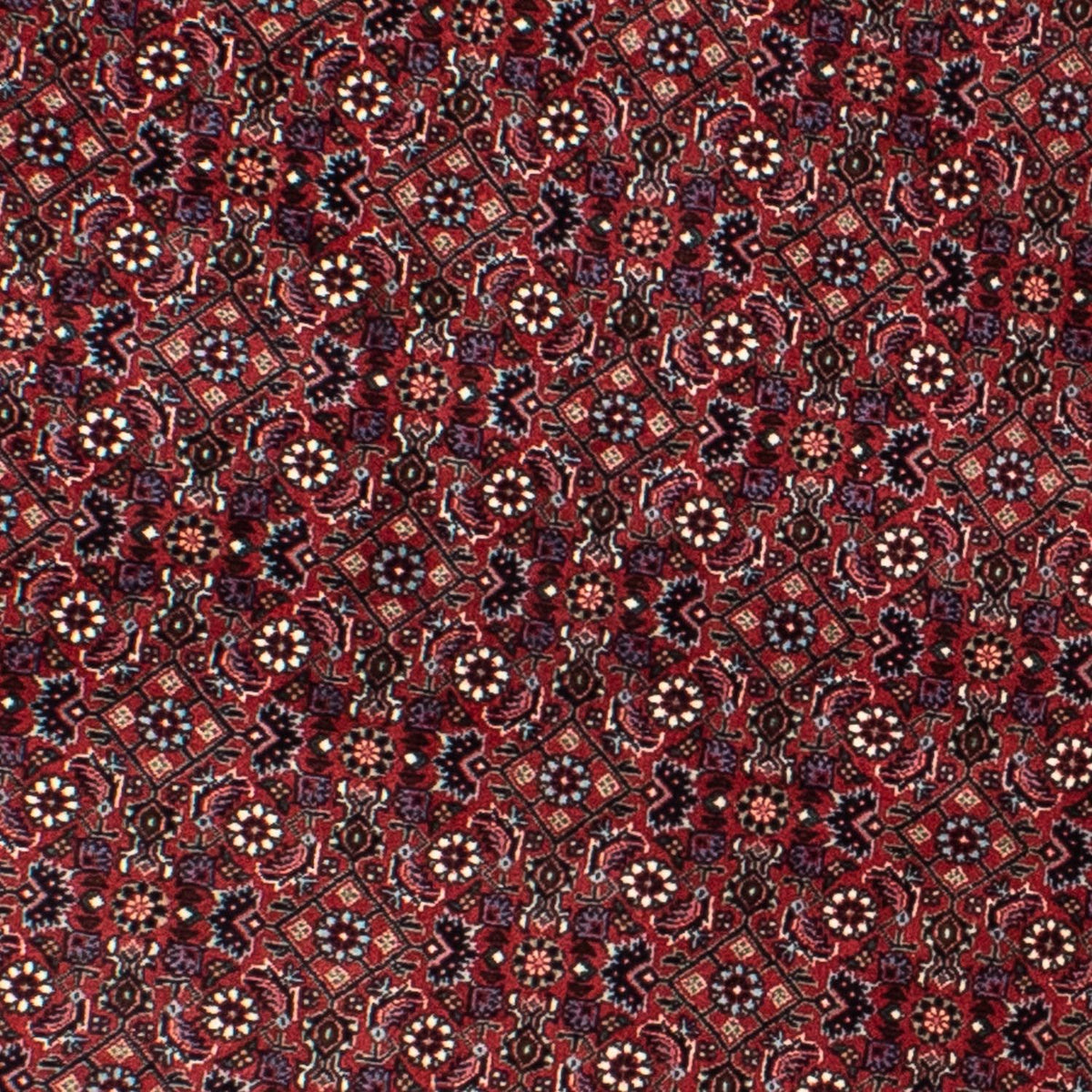 Tapis persan - Bidjar ronde  - 160 x 160 cm - rouge foncé