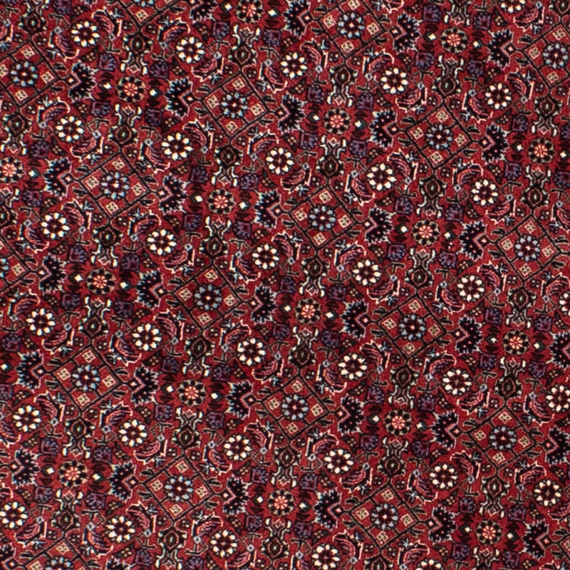 Tapis persan - Bidjar ronde  - 160 x 160 cm - rouge foncé