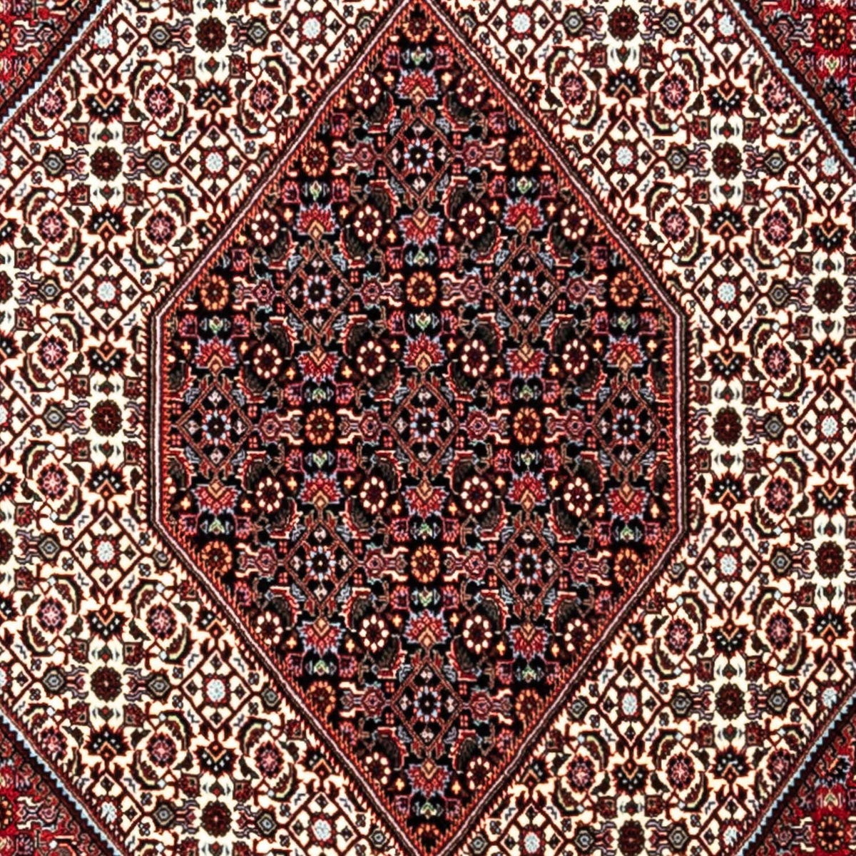 Tapis persan - Bidjar - 338 x 249 cm - rouge