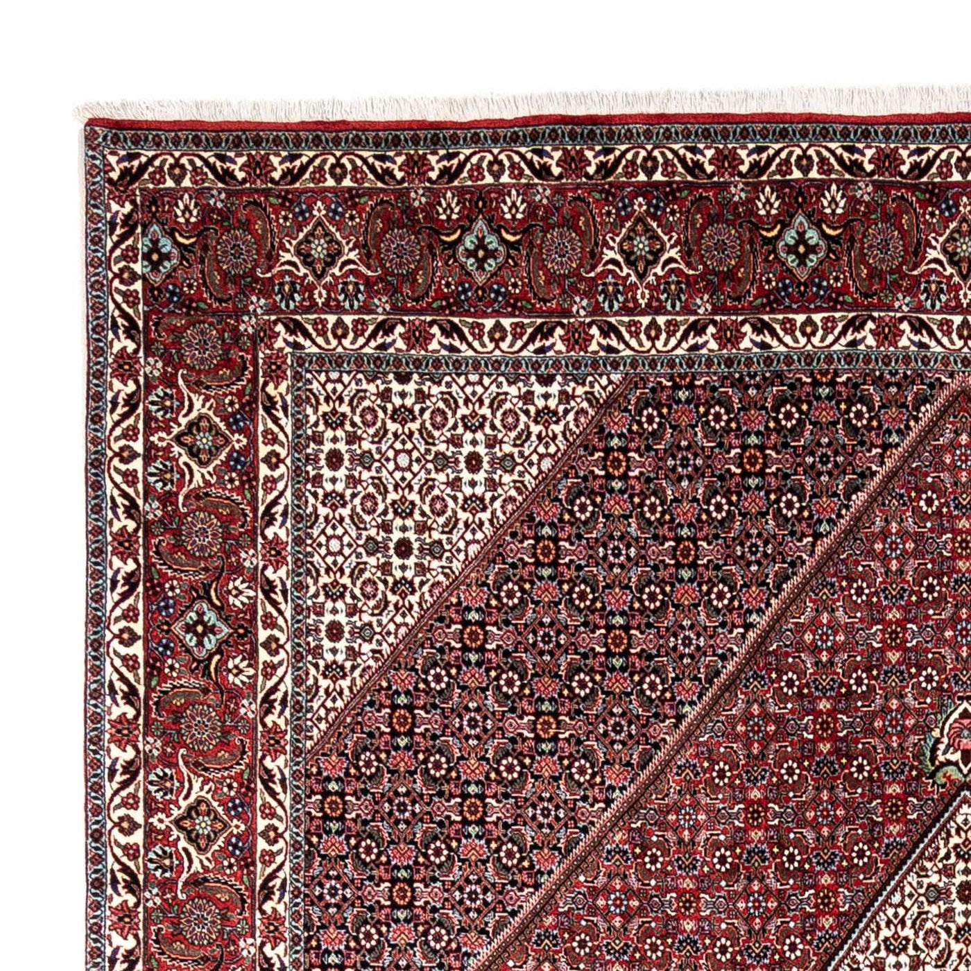 Bidjar - Takab Tapis 338x249cm - Tapis persan