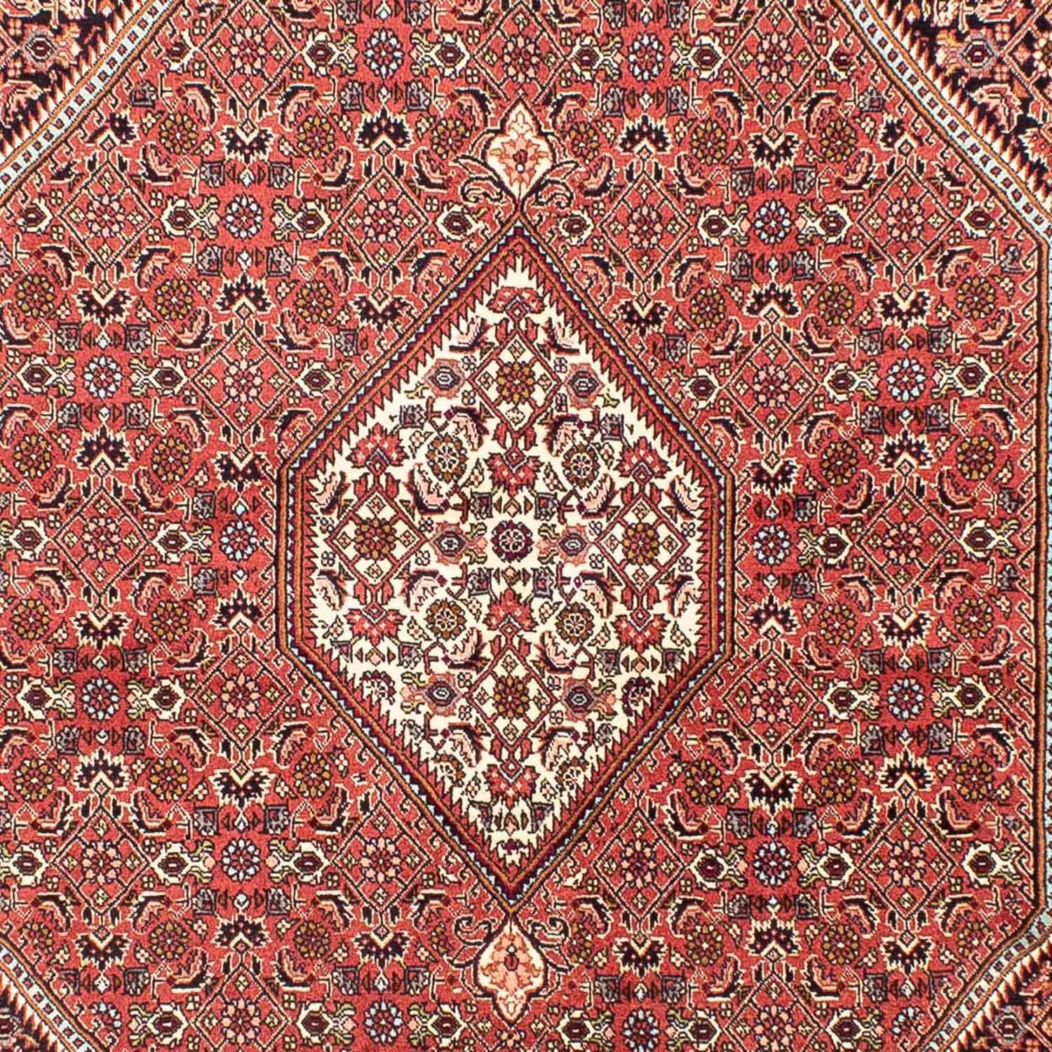 Tapis persan - Bidjar - 258 x 174 cm - rouge clair
