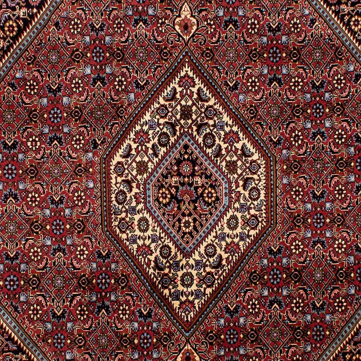 Tapis persan - Bidjar - 275 x 203 cm - marron