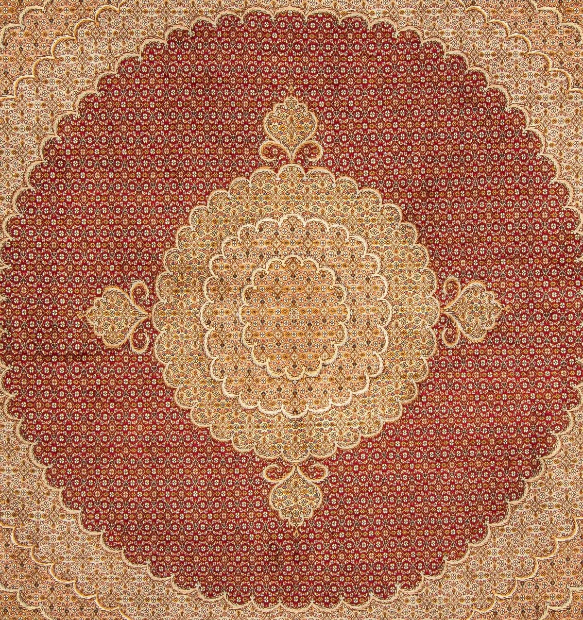 Tapis persan - Tabriz carré  - 248 x 246 cm - rouge foncé