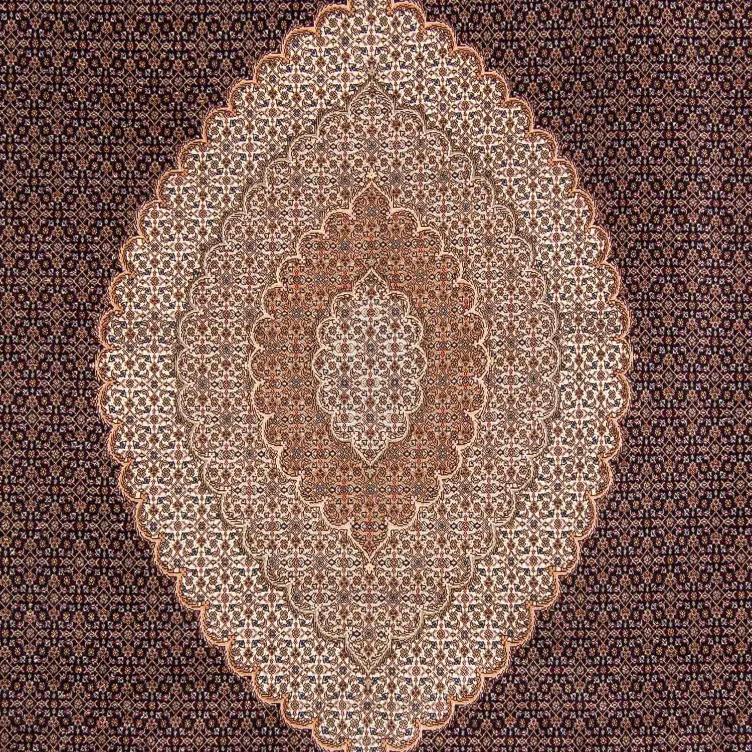 Tapis persan - Tabriz - 352 x 252 cm - marron clair