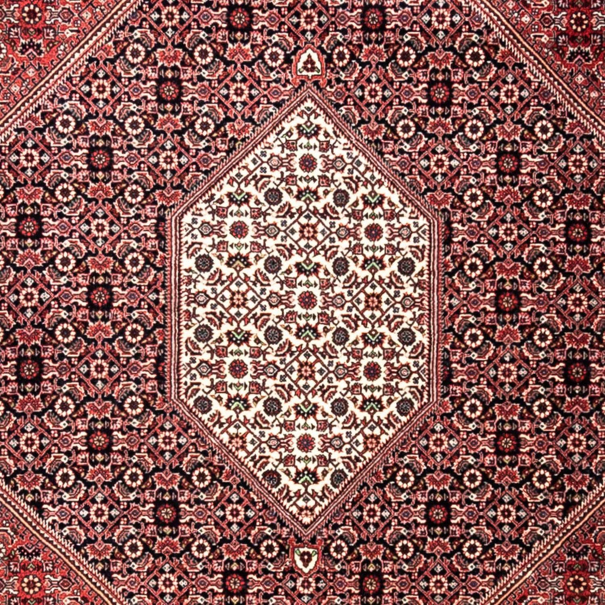 Tapis persan - Bidjar - 346 x 252 cm - rouge