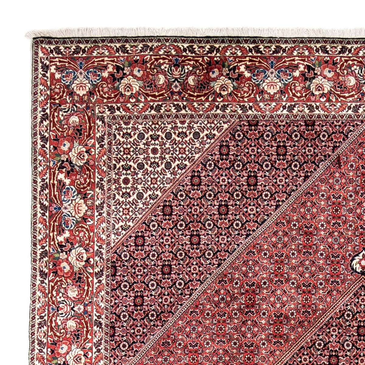 Bidjar - Takab Tapis 252x346cm - Tapis persan