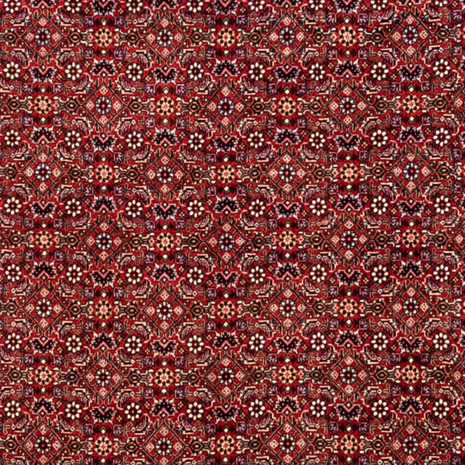 Tapis persan - Bidjar - 340 x 248 cm - rouge