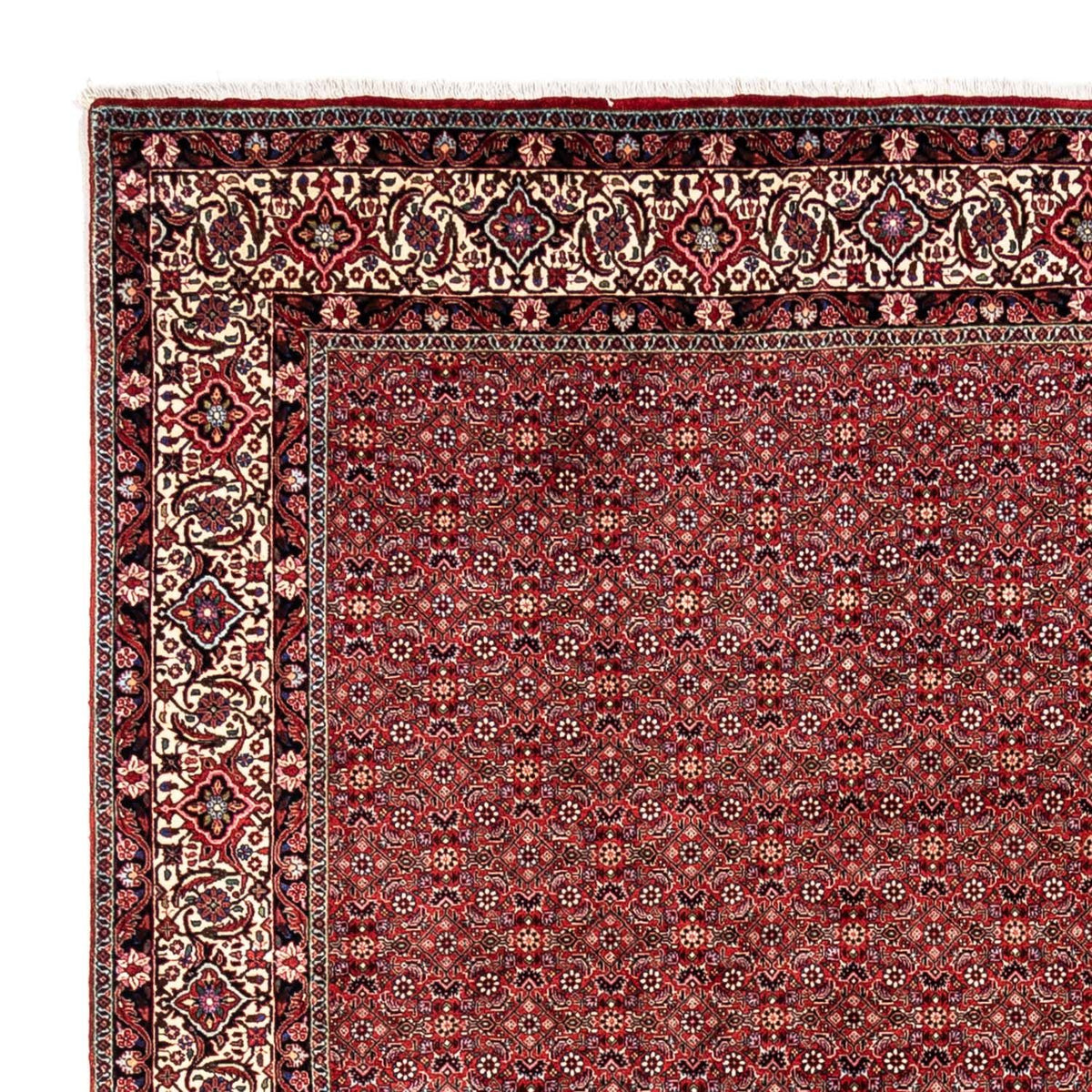 Tapis persan - Bidjar - 340 x 248 cm - rouge
