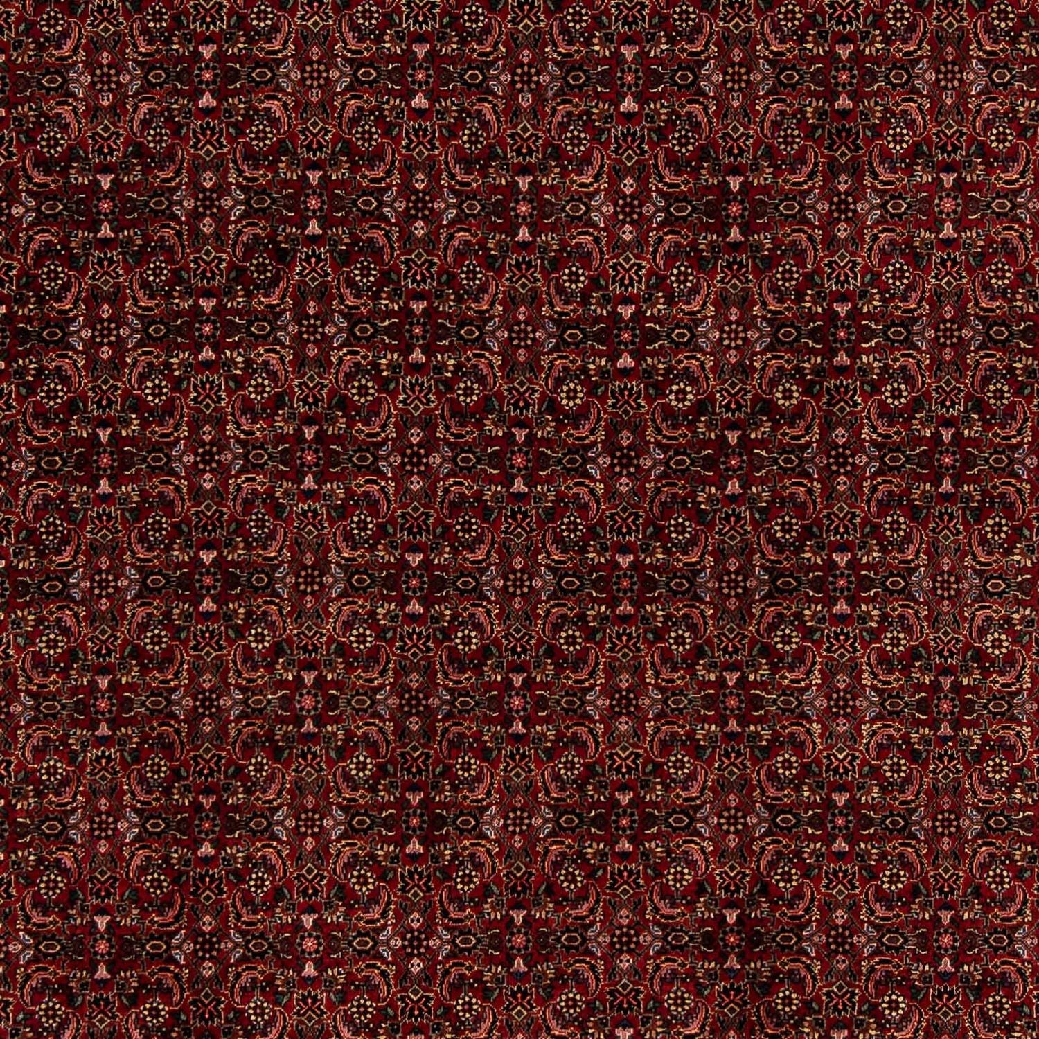Tapis persan - Bidjar - 249 x 202 cm - rouge foncé