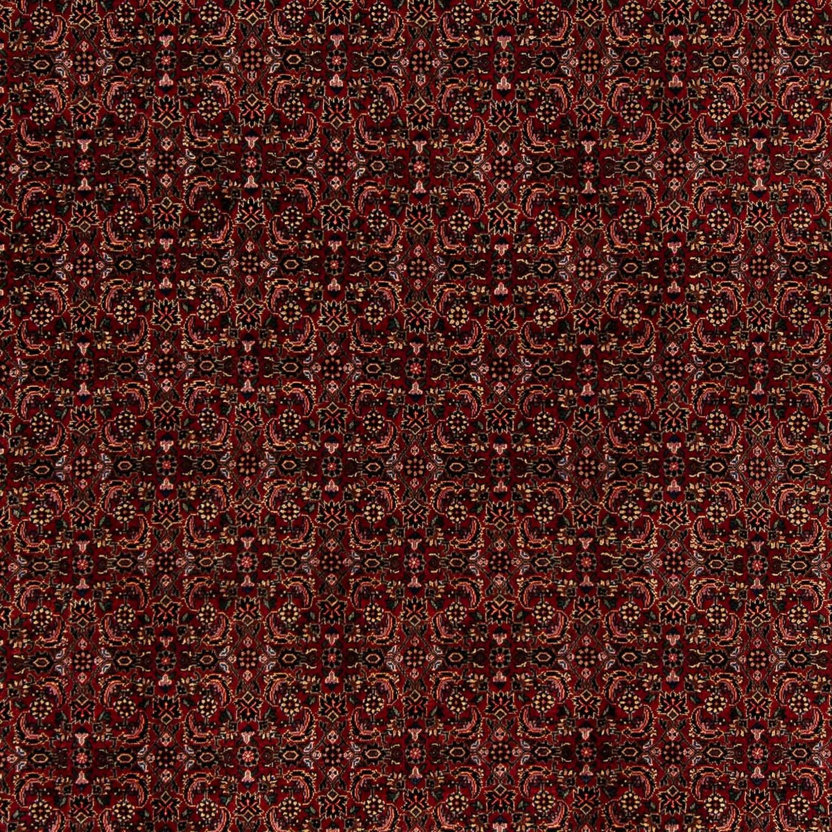 Tapis persan - Bidjar - 249 x 202 cm - rouge foncé