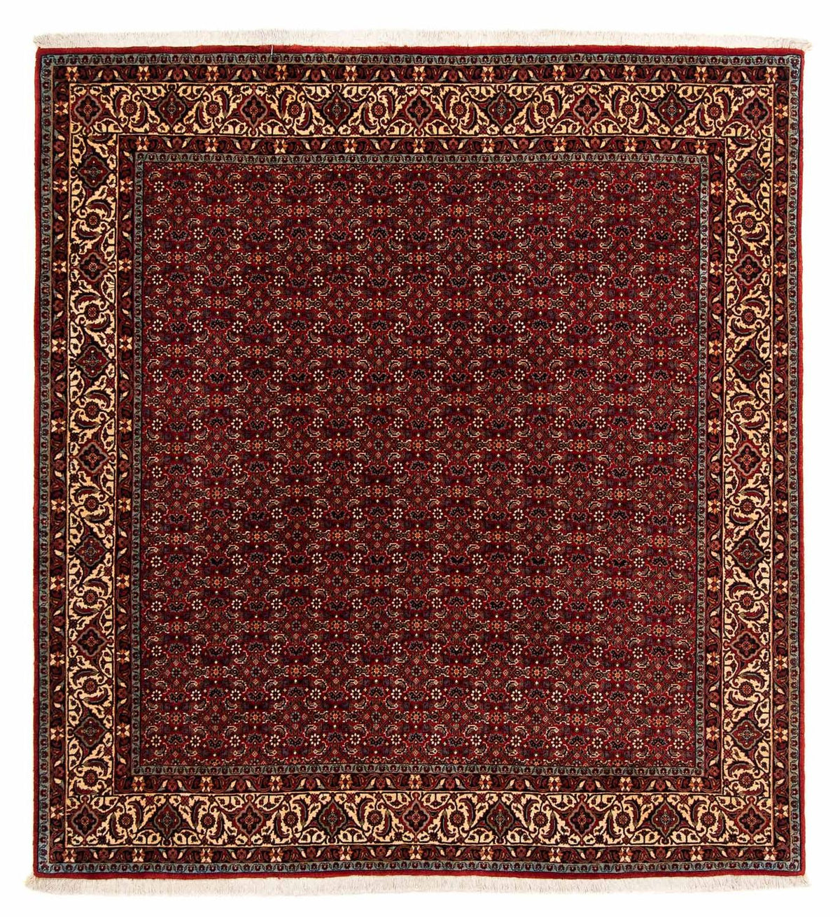 Tapis persan - Bidjar carré  - 207 x 200 cm - rouge foncé