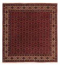 Tapis persan - Bidjar carré  - 207 x 200 cm - rouge foncé