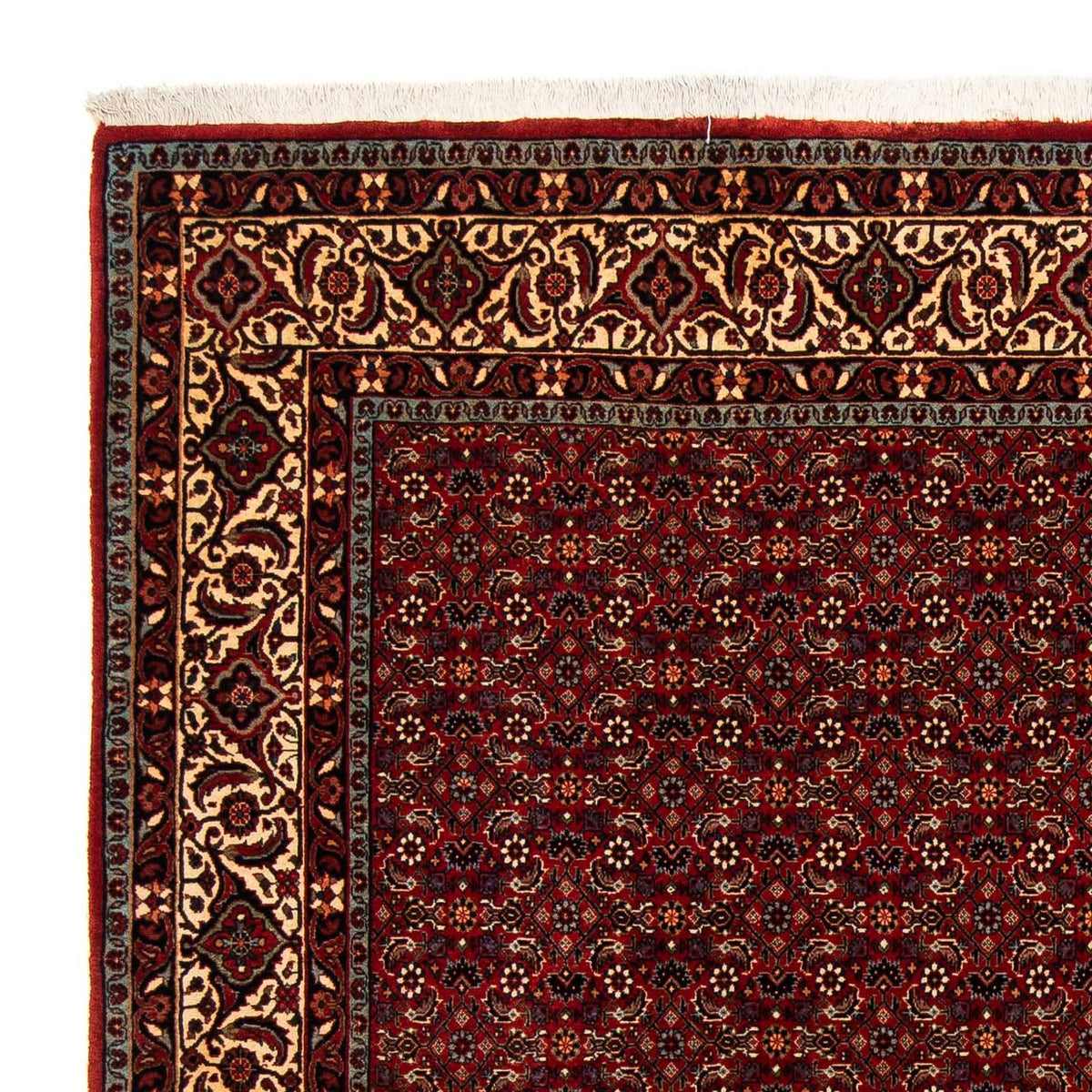 Tapis persan - Bidjar carré  - 207 x 200 cm - rouge foncé