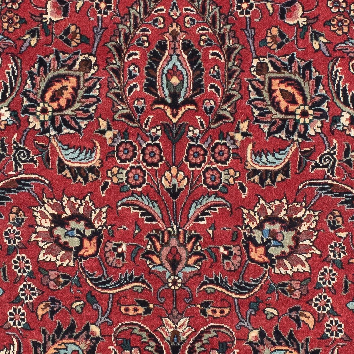 Tapis de couloir Tapis persan - Bidjar - 205 x 74 cm - rouge