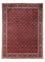 Tapis persan - Bidjar - 337 x 252 cm - rouge