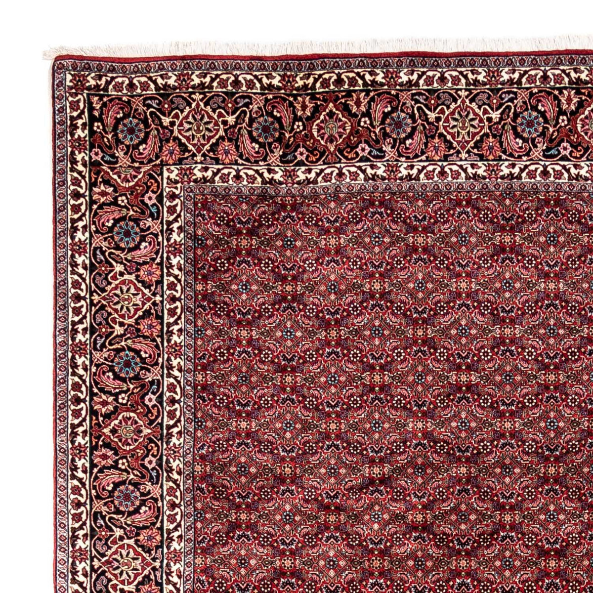 Tapis persan - Bidjar - 337 x 252 cm - rouge