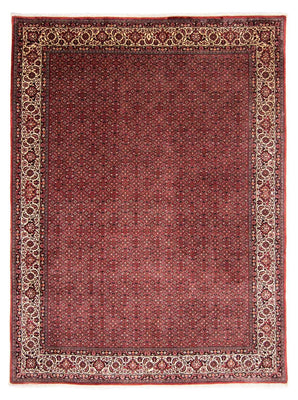 Tapis persan - Bidjar - 338 x 258 cm - rouge