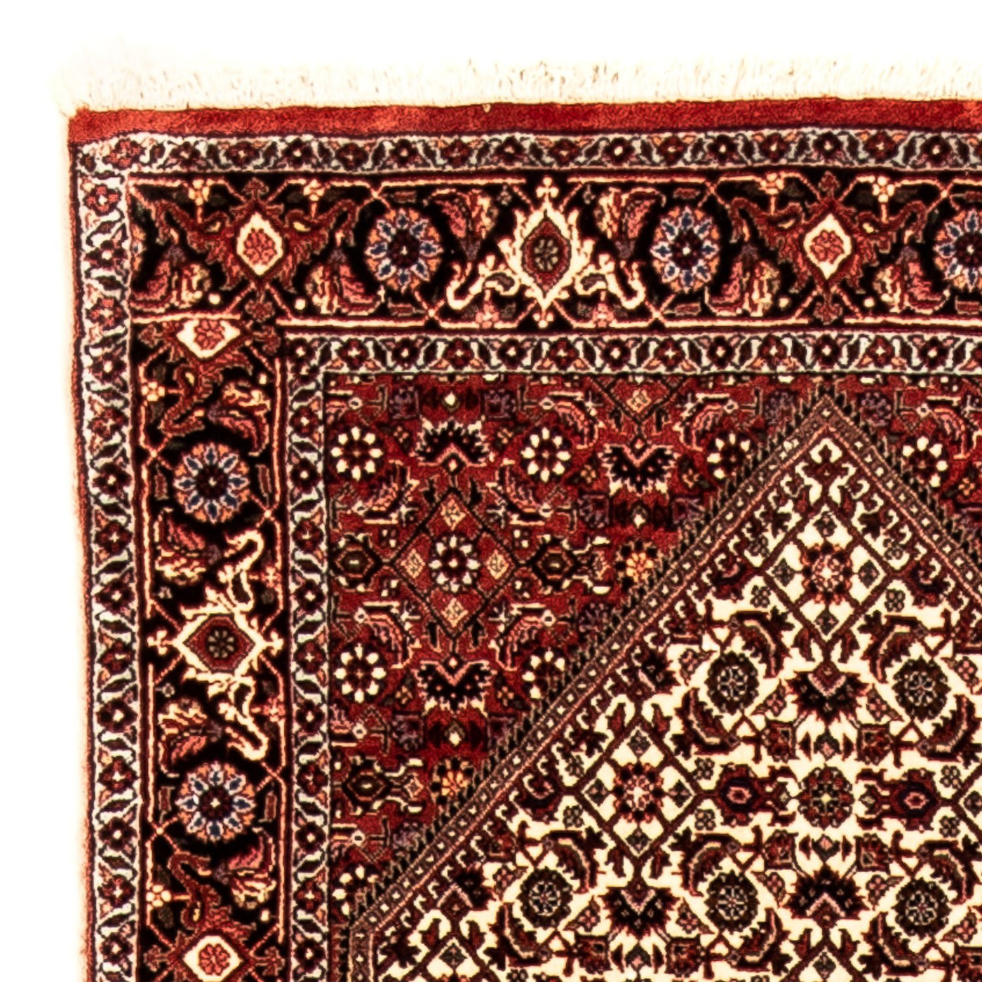 Tapis de Bidjar Tapis 290x82cm - Tapis persan