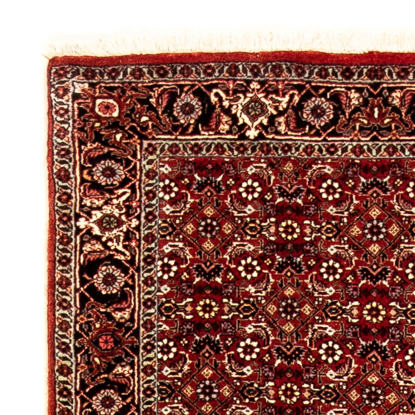 Tapis de Bidjar Tapis 298x80cm - Tapis persan