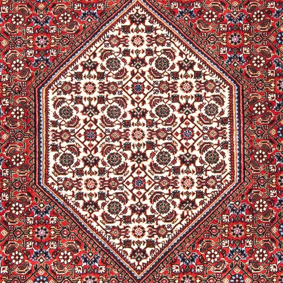 Tapis persan - Bidjar - 169 x 108 cm - rouge
