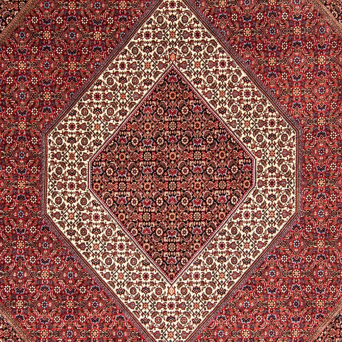 Tapis persan - Bidjar - 345 x 252 cm - rouge