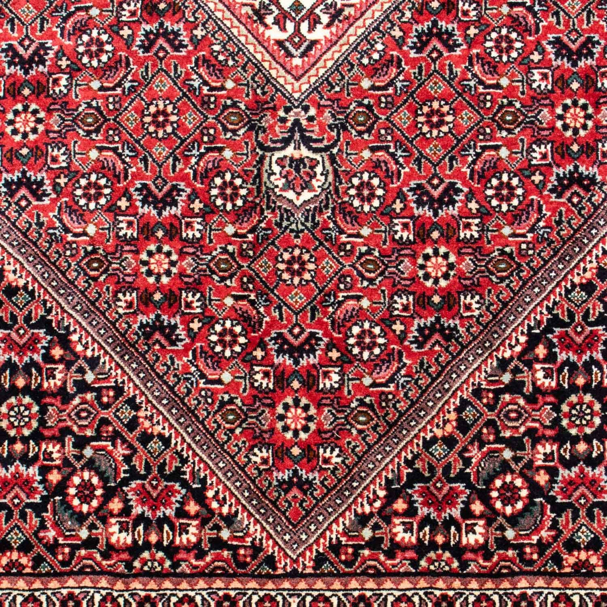 Tapis de Bidjar Tapis 171x250cm - Tapis persan