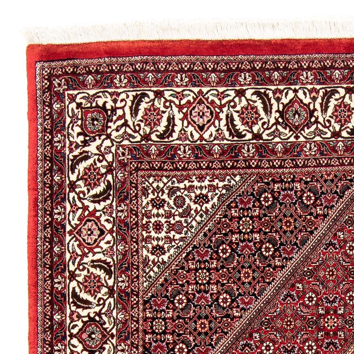 Tapis persan - Bidjar - 240 x 168 cm - rouge foncé