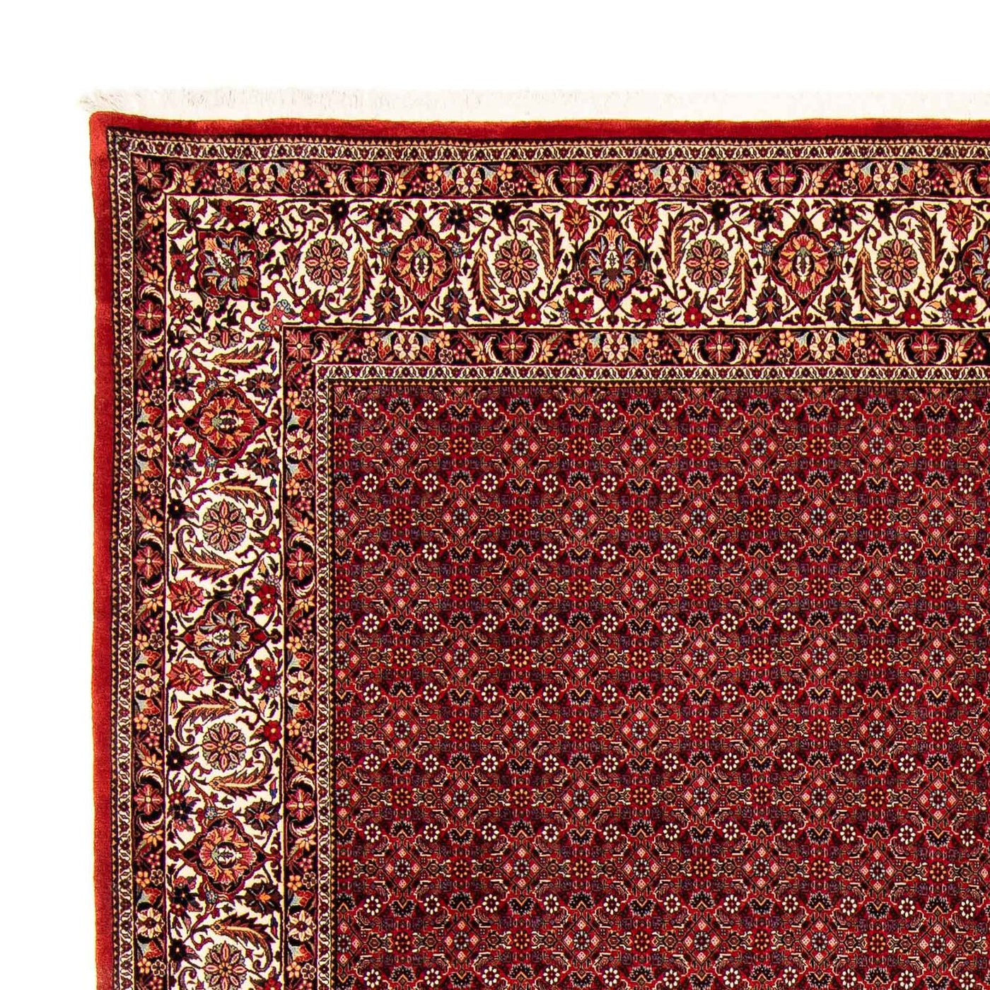 Tapis de Bidjar Tapis 400x308cm - Tapis persan