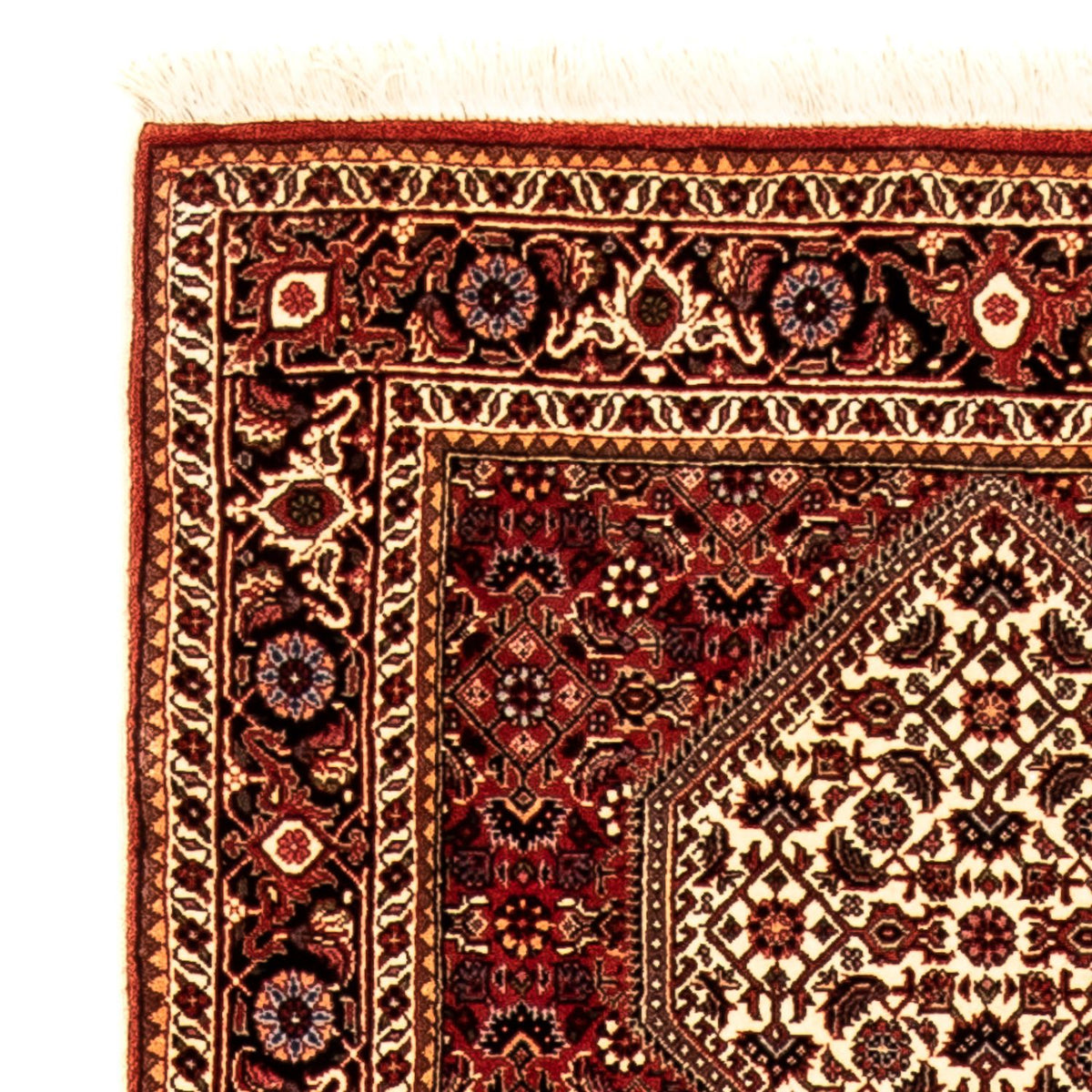 Tapis de Bidjar Tapis 81x304cm - Tapis persan