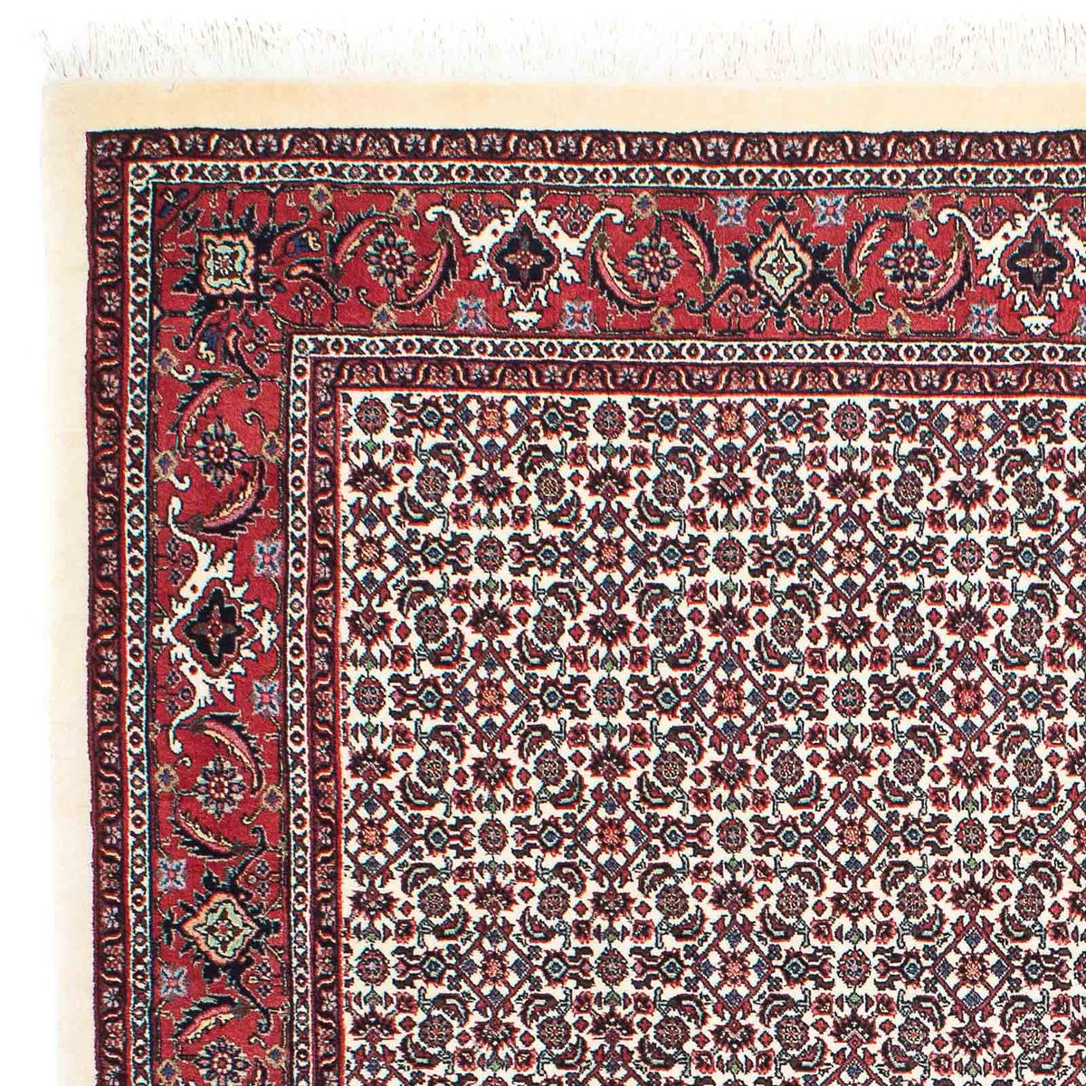 Tapis persan - Bidjar - 208 x 147 cm - beige
