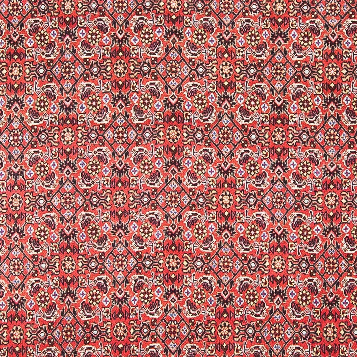 Tapis persan - Bidjar carré  - 105 x 101 cm - rouge