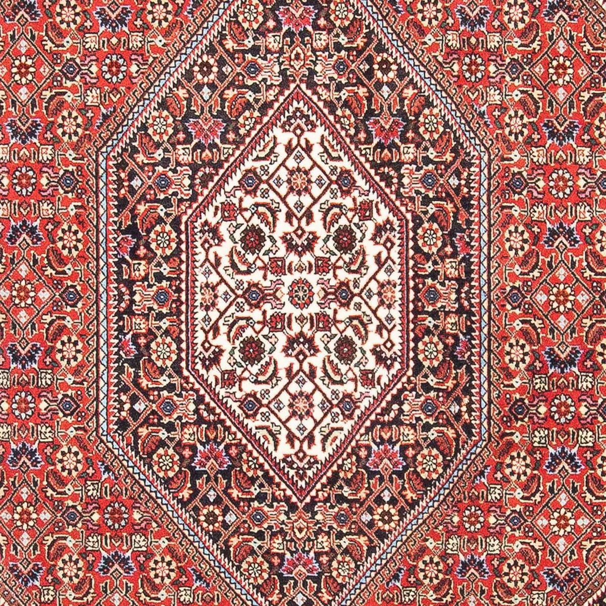 Tapis persan - Bidjar - 173 x 110 cm - rouge clair