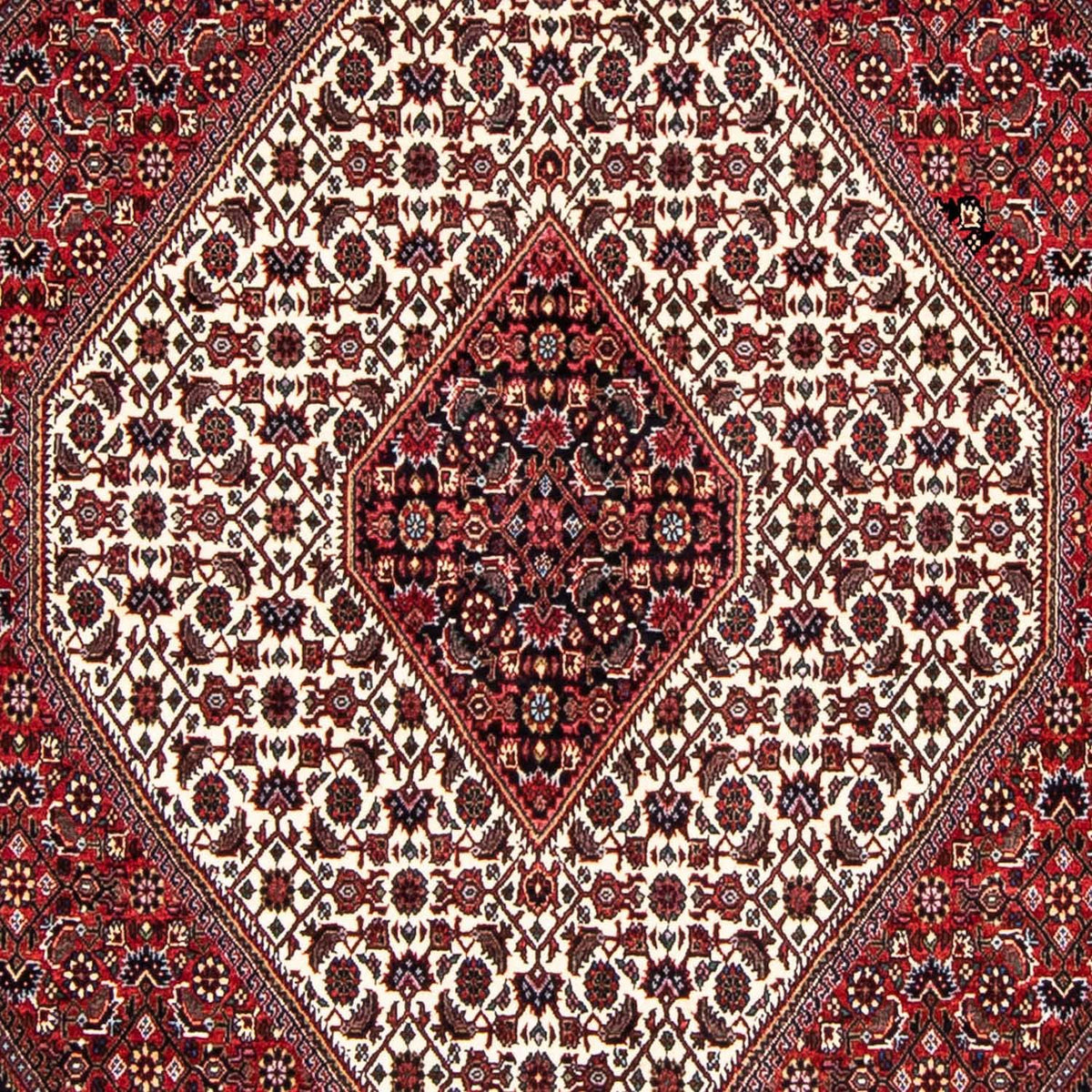 Tapis persan - Bidjar - 236 x 172 cm - rouge foncé