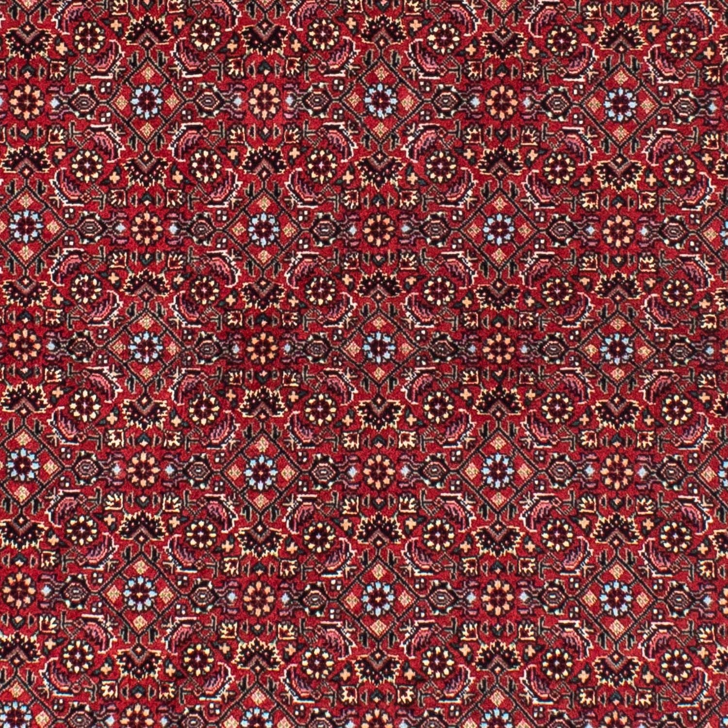 Tapis persan - Bidjar ronde  - 150 x 150 cm - rouge foncé