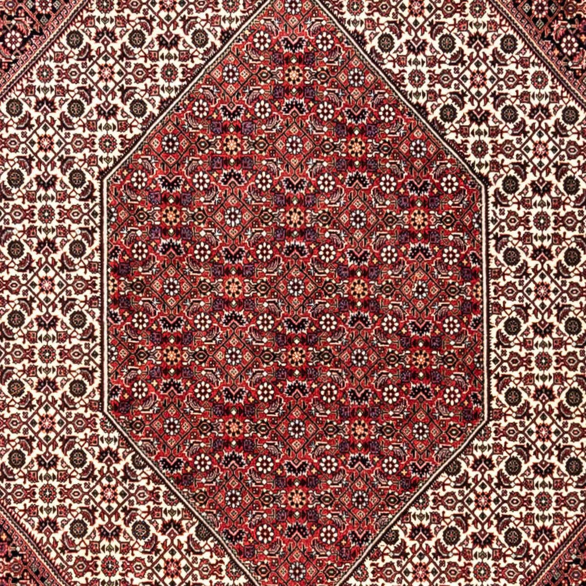 Tapis persan - Bidjar - 353 x 250 cm - rouge