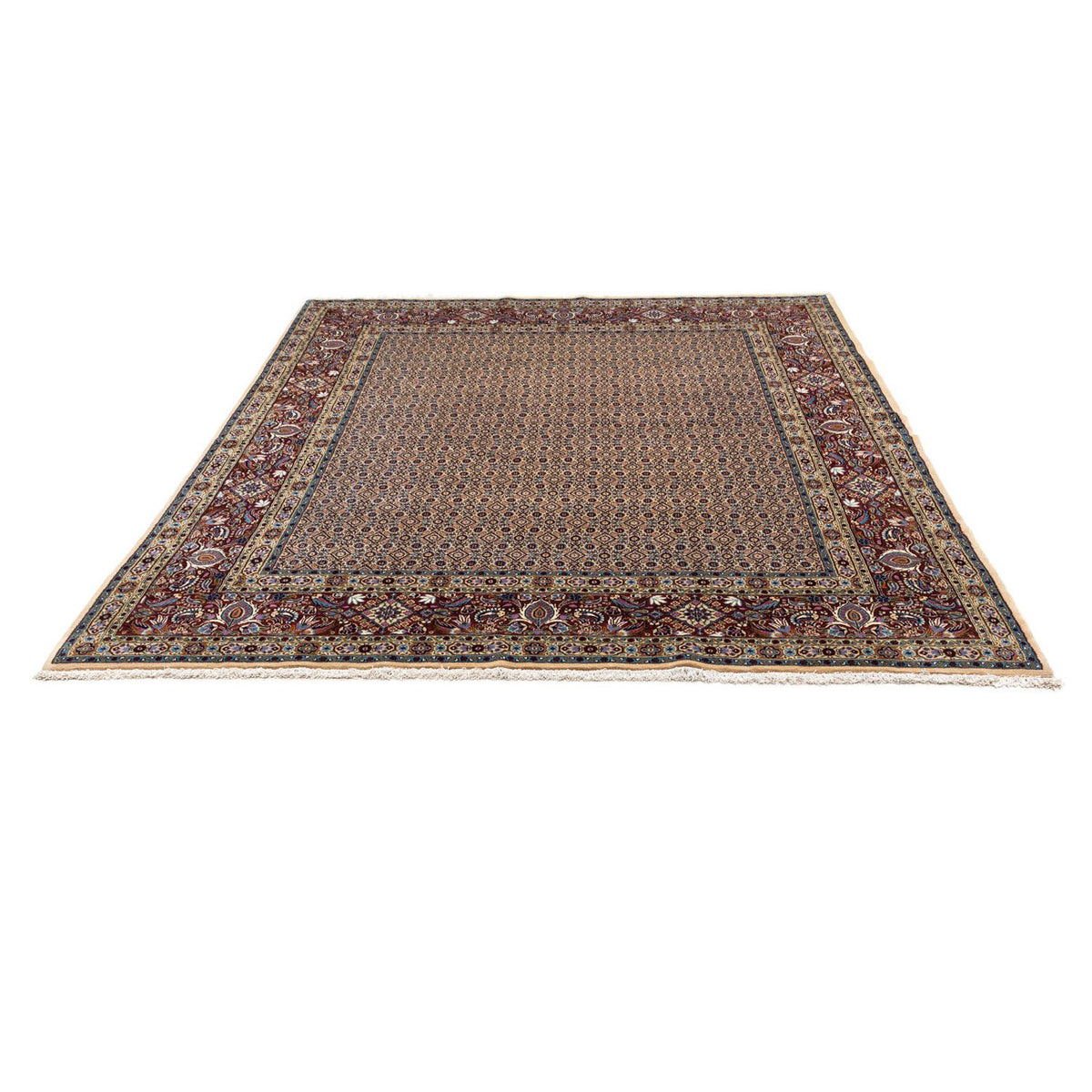 Tapis persan - Classique - 295 x 243 cm - marron clair