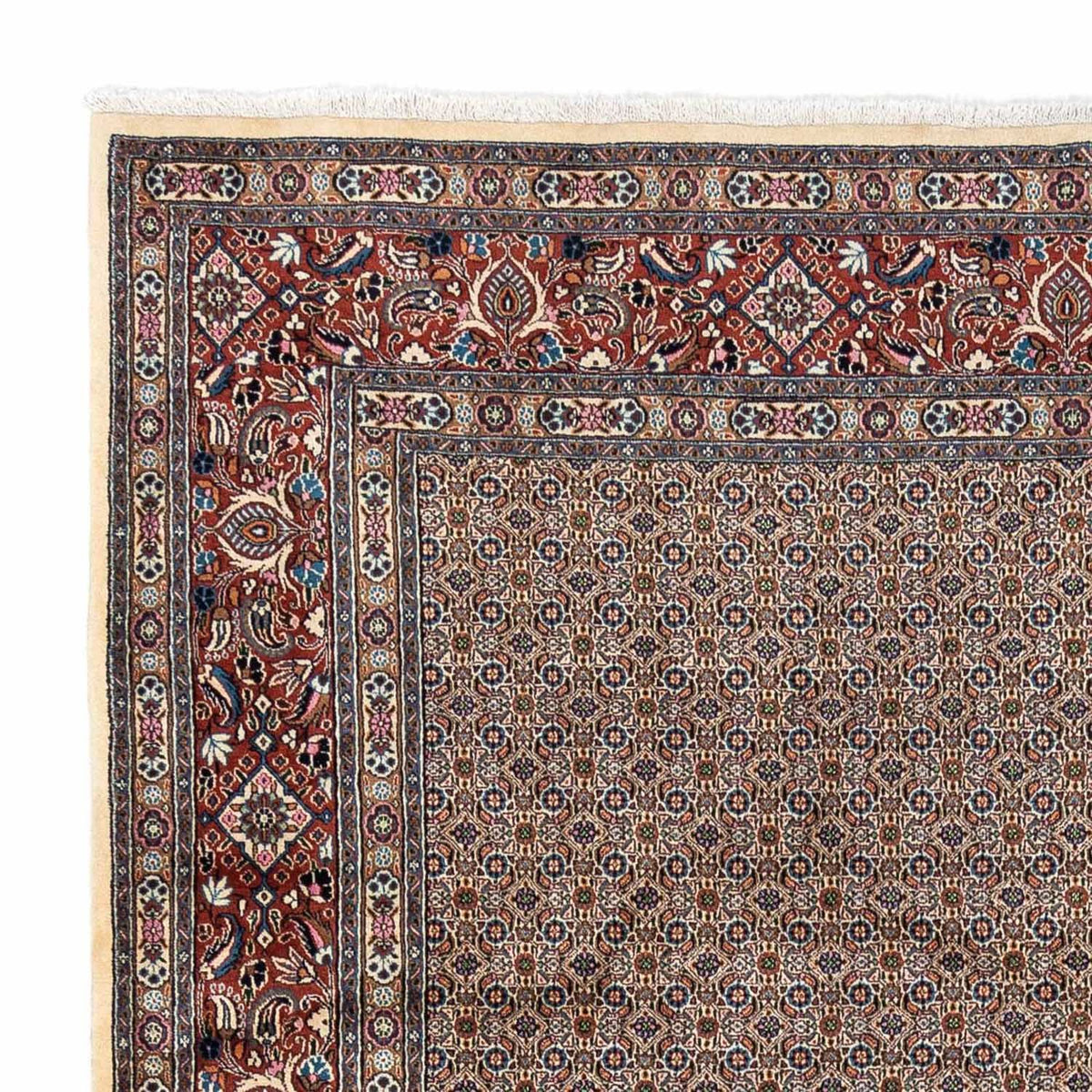 Tapis persan - Classique - 342 x 250 cm - beige