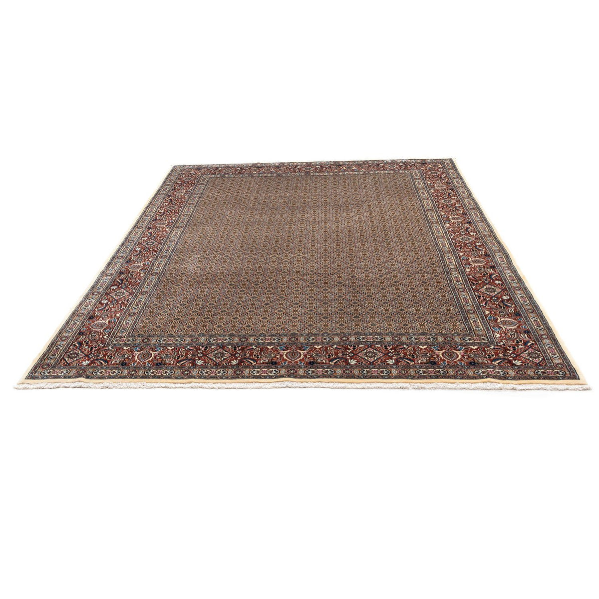 Tapis persan - Classique - 342 x 250 cm - beige