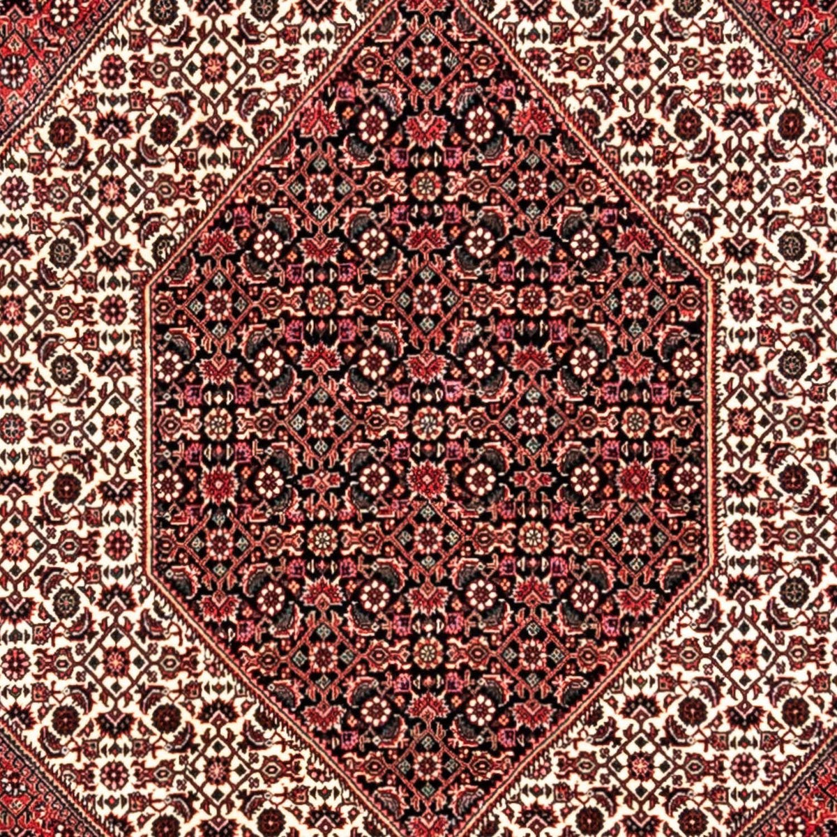 Tapis persan - Bidjar - 350 x 252 cm - rouge