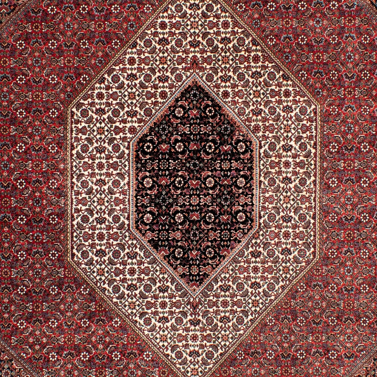 Tapis persan - Bidjar - 303 x 203 cm - rouge