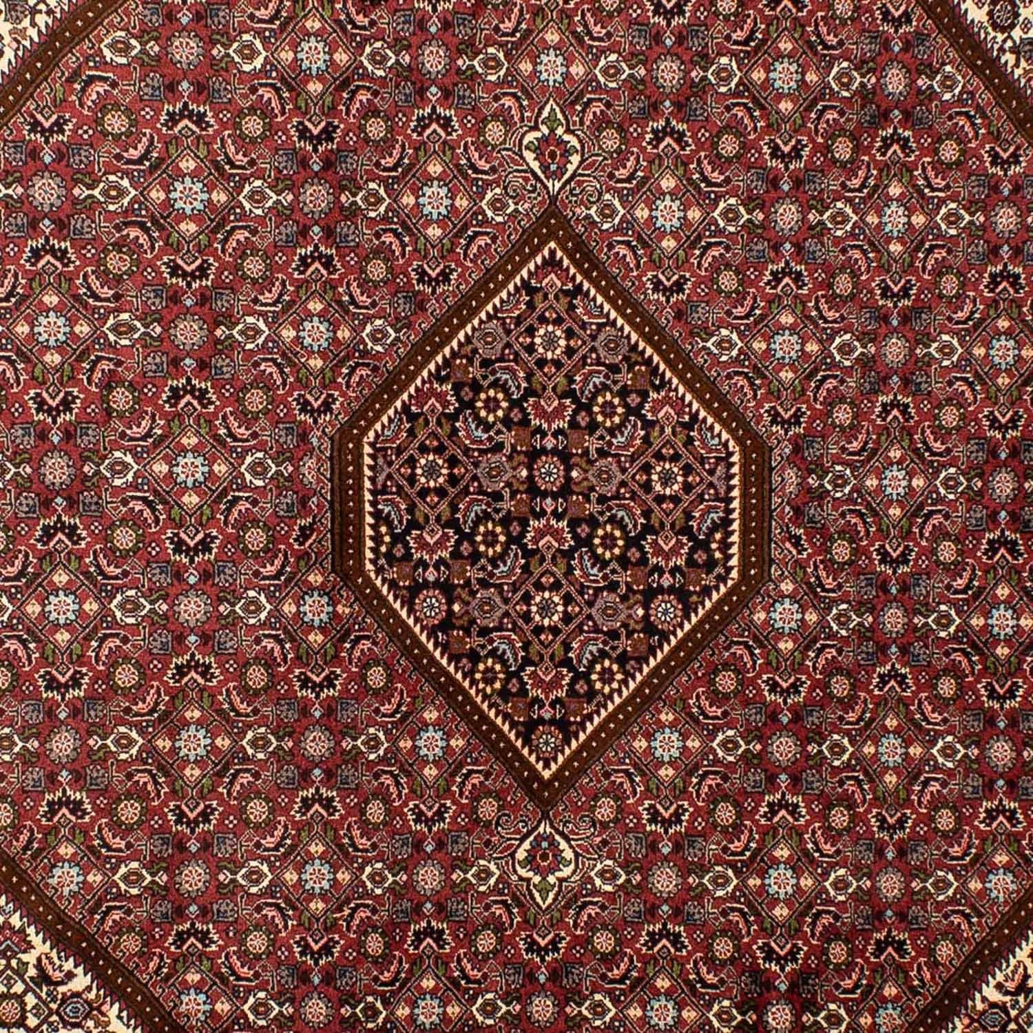 Tapis persan - Bidjar - 292 x 200 cm - marron