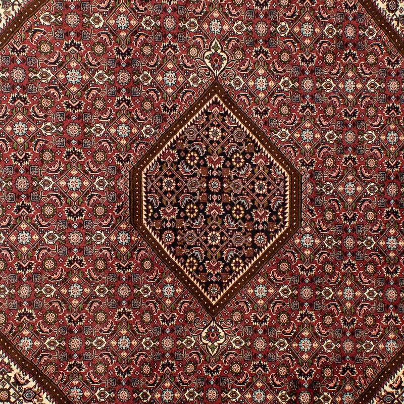 Tapis persan - Bidjar - 292 x 200 cm - marron