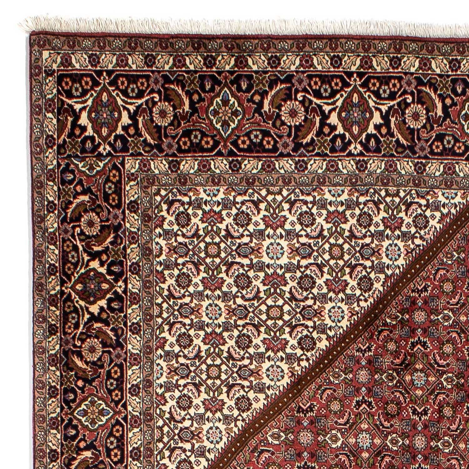 Tapis persan - Bidjar - 292 x 200 cm - marron