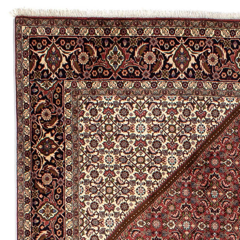 Tapis persan - Bidjar - 292 x 200 cm - marron