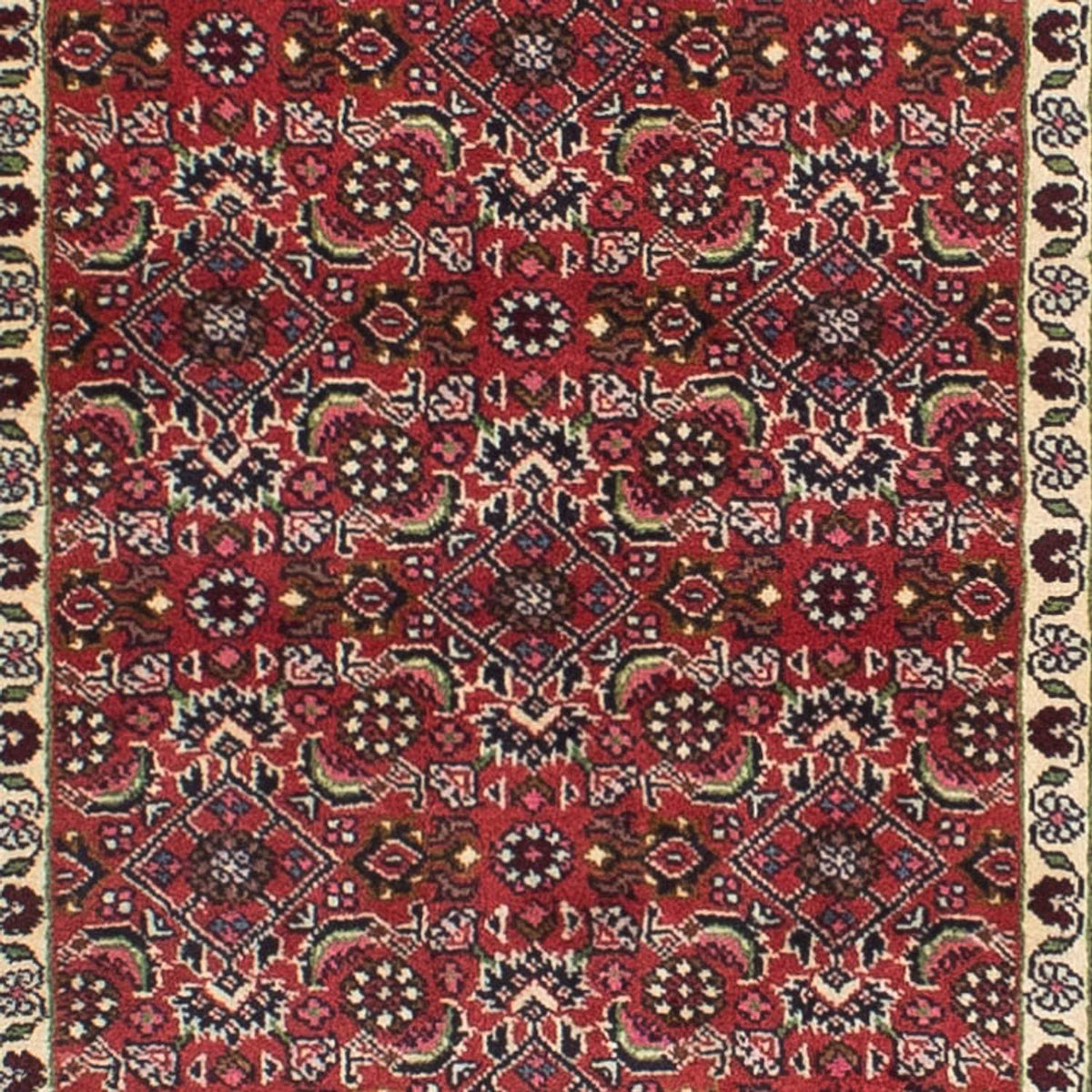 Tapis de couloir Tapis persan - Bidjar - 249 x 73 cm - rouge clair