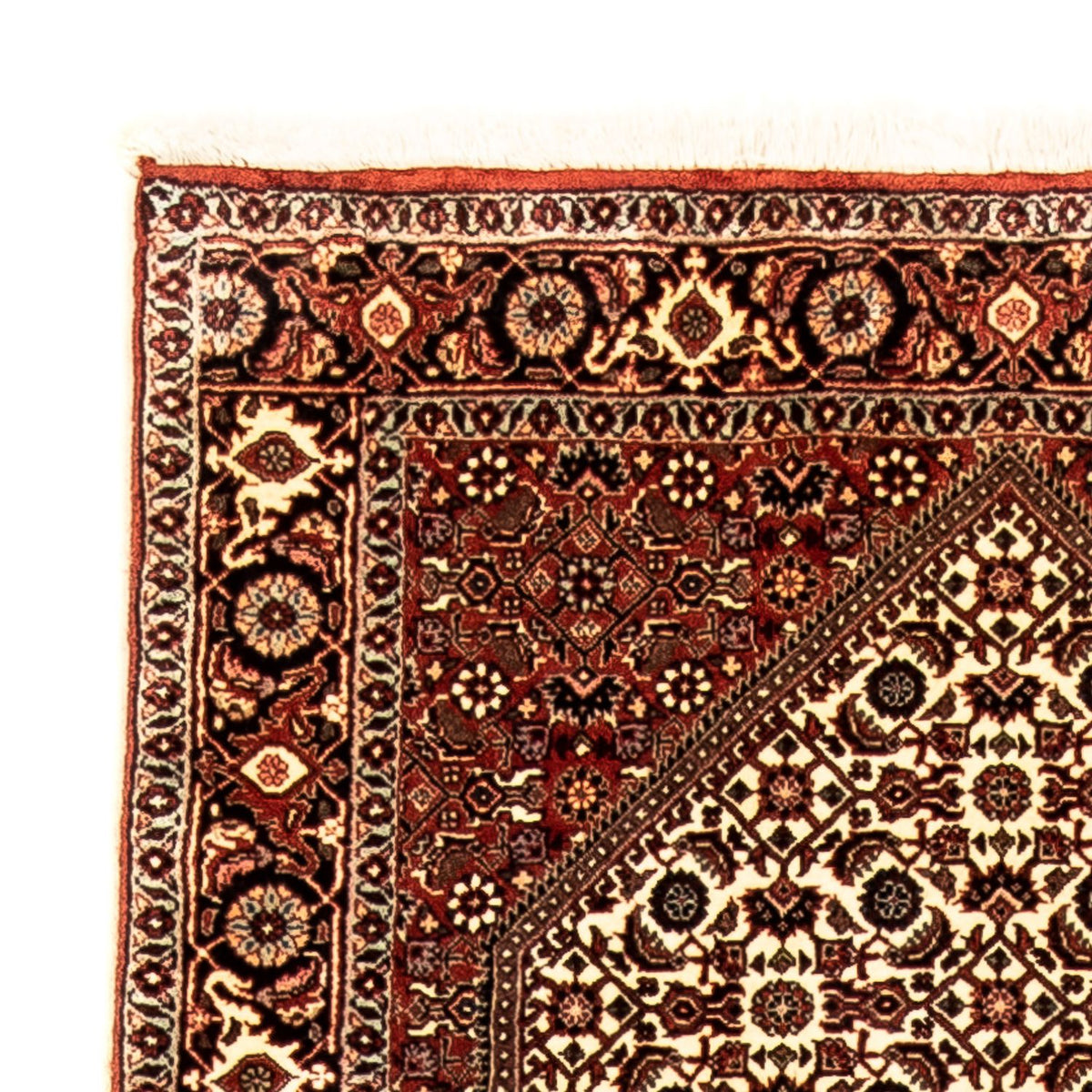 Tapis de couloir Tapis persan - Bidjar - 289 x 86 cm - multicolore